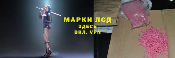 трава Елизово