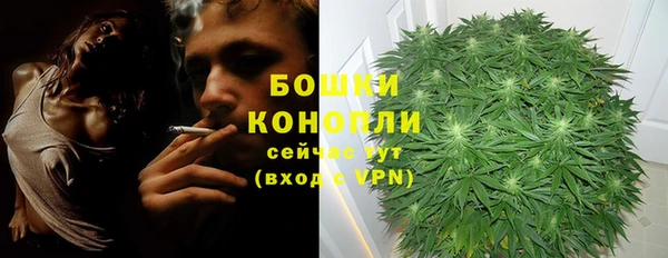 трава Елизово