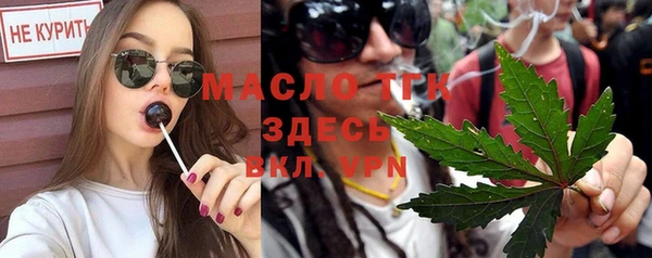 jwh Ельня