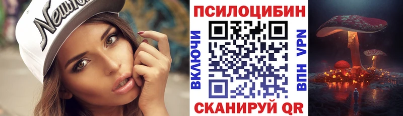 Псилоцибиновые грибы Psilocybe  Купить закладки  Лесной 
