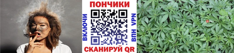Купить где  Лесной  Канабис LSD WEED 